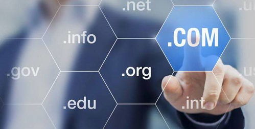 域名常見場(chǎng)景及選購(gòu)技巧 互聯(lián)網(wǎng)信息服務(wù)指南