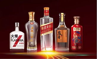 朋友圈再次擴(kuò)大 時代汽車與五糧液系列酒公司達(dá)成戰(zhàn)略合作共識，共拓跨界食品銷售新路徑